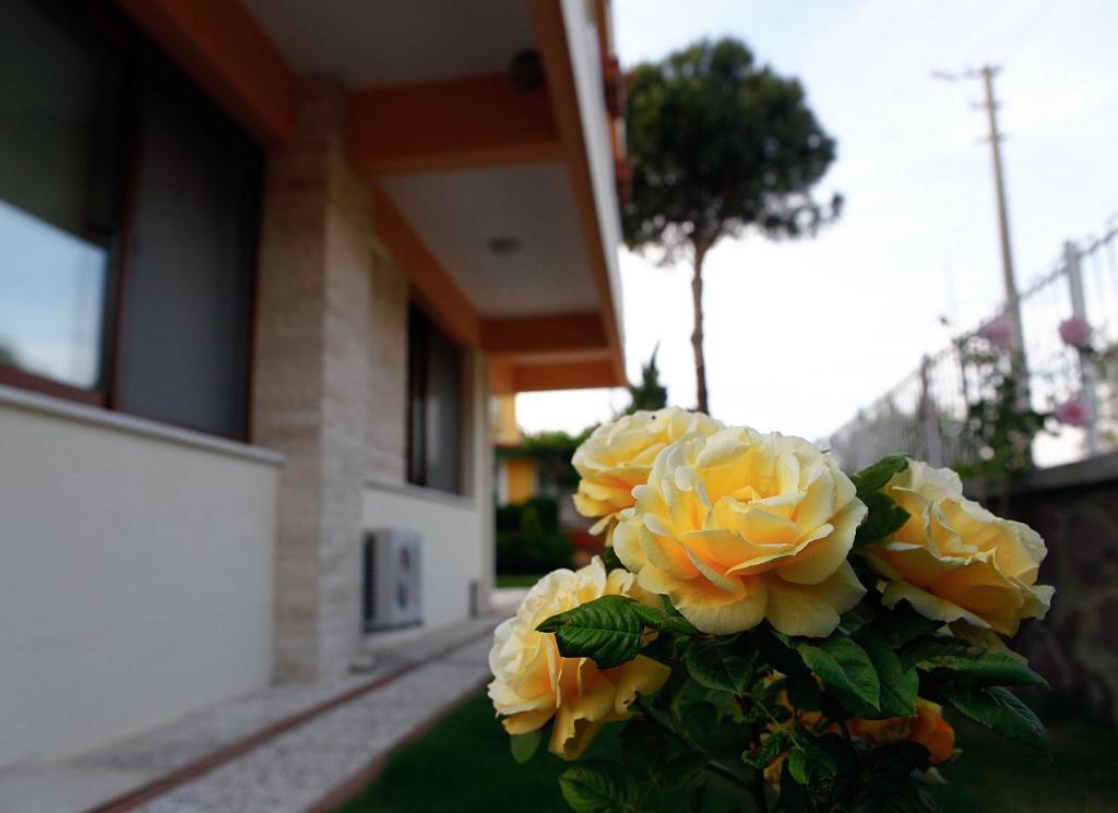 Yenifoca Villa Fokai Hotel מראה חיצוני תמונה